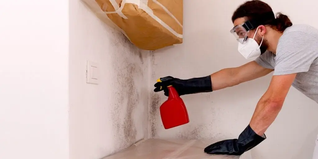 Mold Awareness Month: 10 Tips to Help Prevent Mold