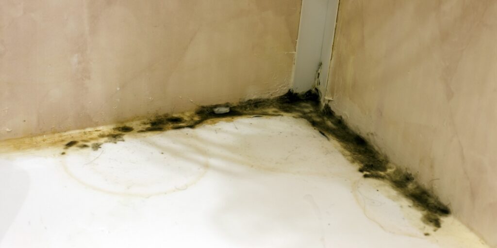 What Causes Household Mold? The 5 Primary Causes of Mold Growth in Homes