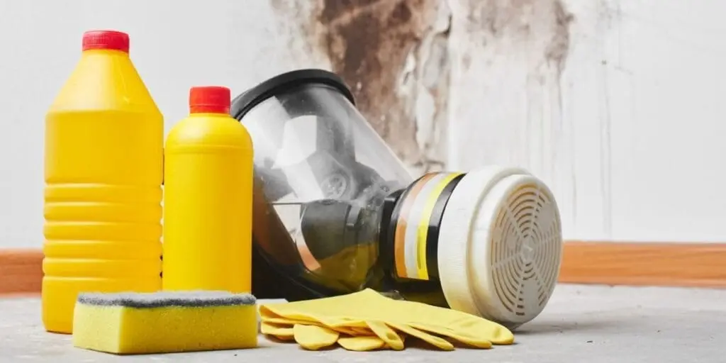 Items to Keep and Throw Away After Mold Removal
