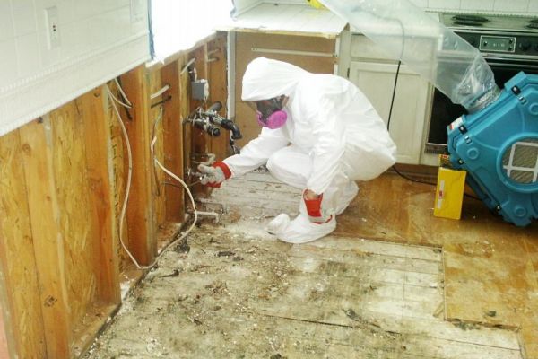 Mold Remediation Palm Beach County