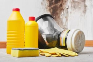 Items to Keep and Throw Away After Mold Removal
