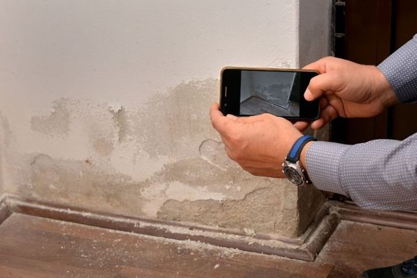 How to Prepare Your Home for Mold Remediation
