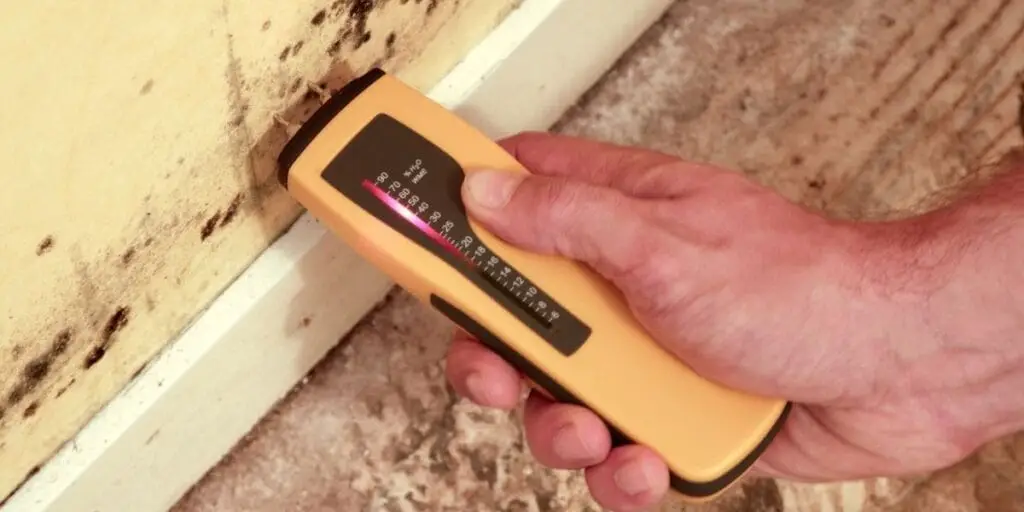Check Mold
