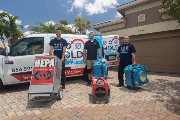 Broward County Mold Removal Services