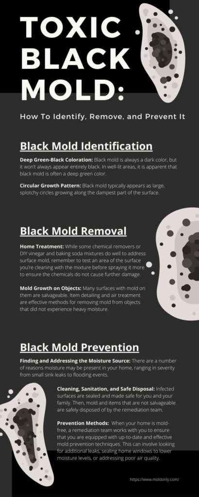 How to find and get rid of black mold - CNET