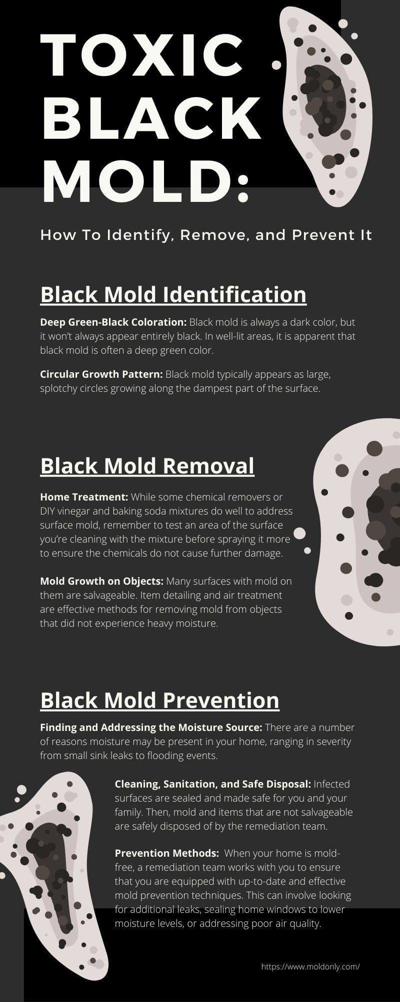 Toxic Black Mold: How to Identify, Remove & Prevent It