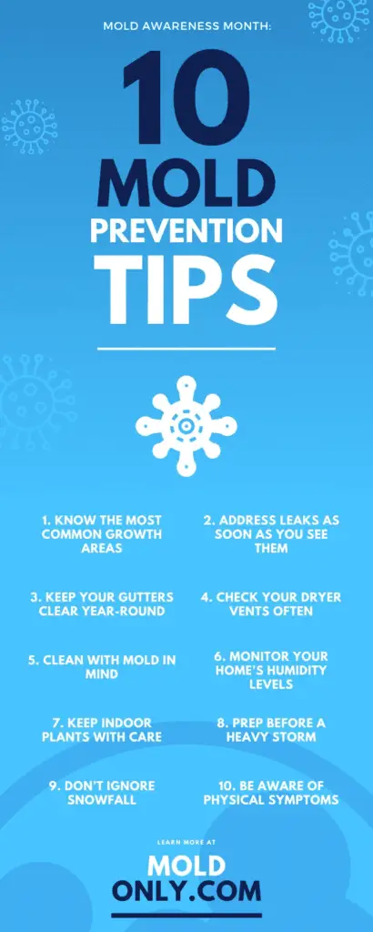 Mold Prevention