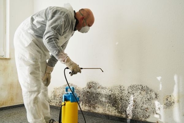 Mold removal West Palm Beach