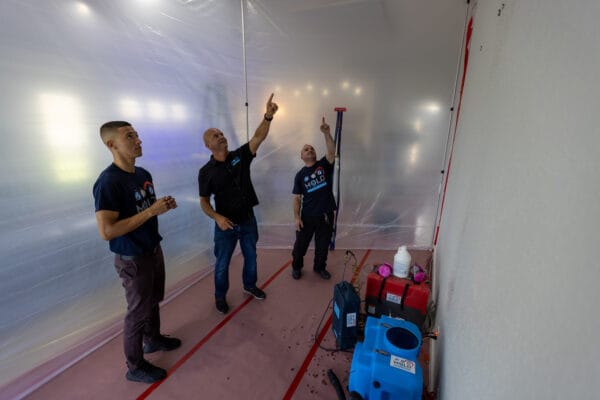 Mold Removal Jupiter FL Black Mold Remediation Mold Only