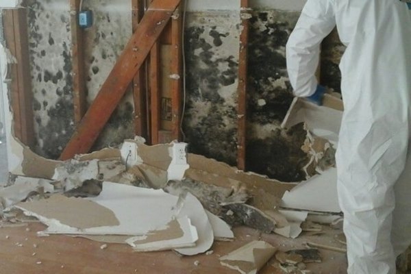 Mold remediation Lake Worth Beach FL