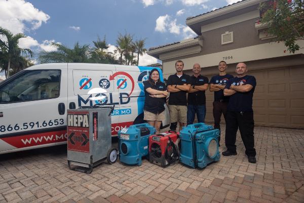 Mold Removal Lake Worth Beach