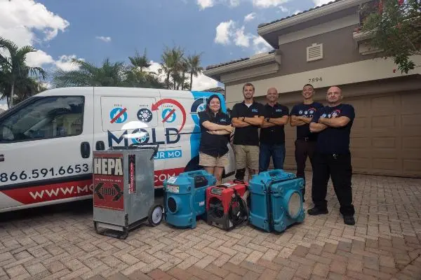 Mold Only - The Best Mold Removal Company in South Florida