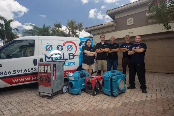 Mold Only - The Best Mold Removal Company in South Florida