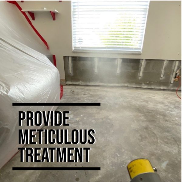 Mold Removal