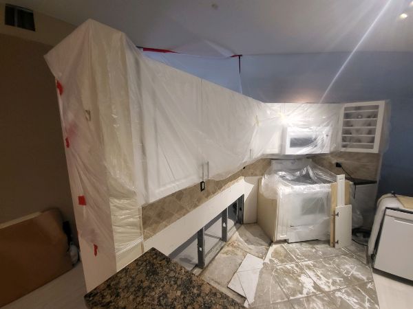 Mold Removal Services (1)