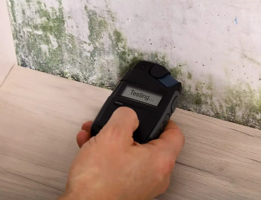 Indoor Mold Air Quality Testing