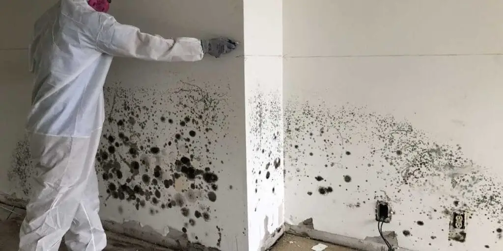 10 Warning Signs of Mold Toxicity