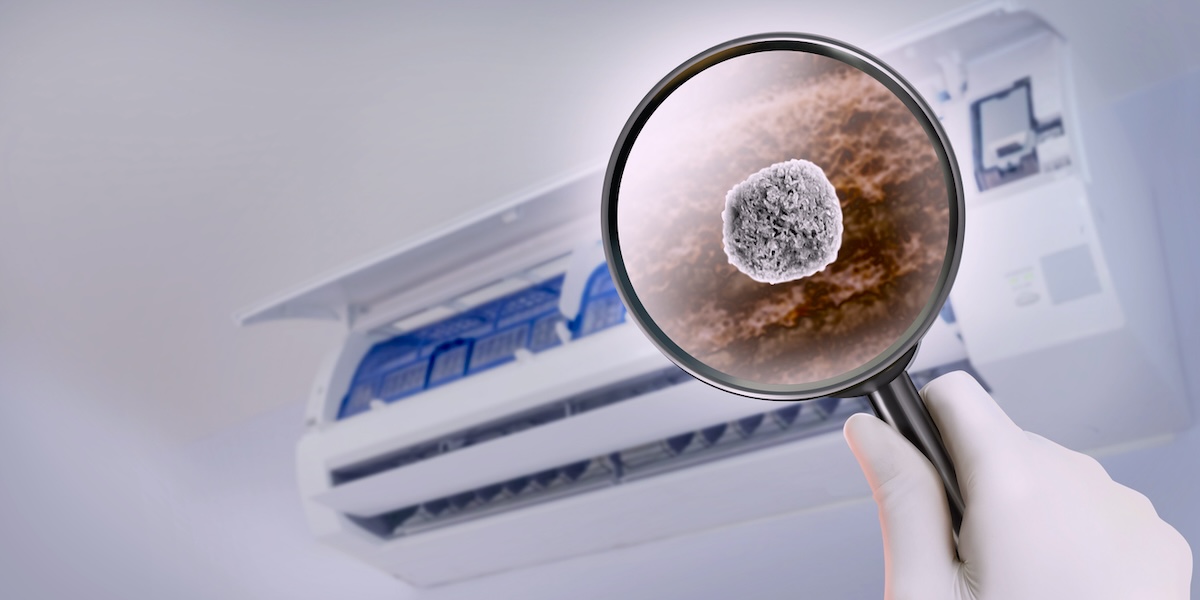 Mold Air Sampling Services in South Florida