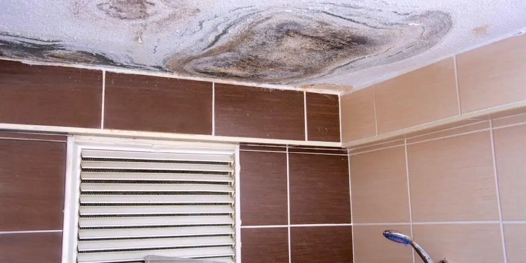 Mold on Bathroom Ceilings