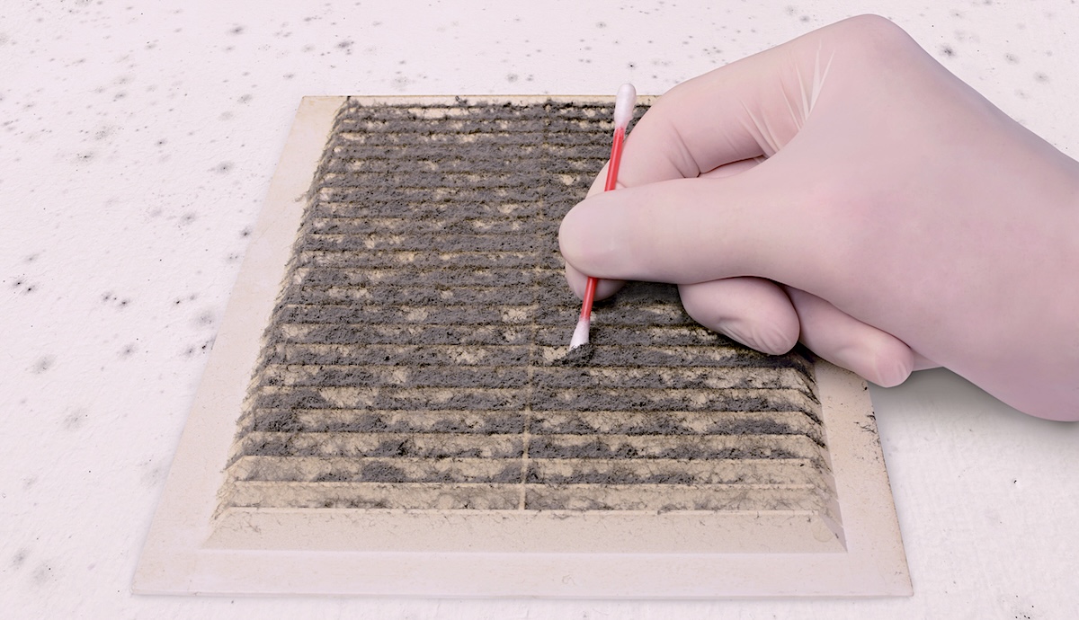 Best HVAC Mold Inspections in Palm Beach and Broward County