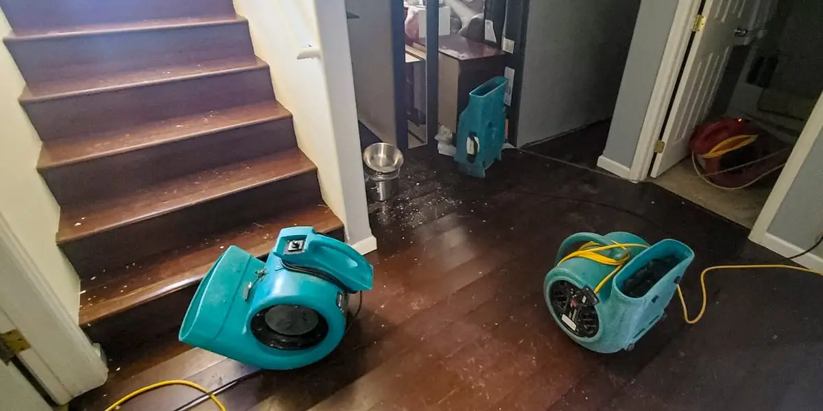 Professional Mold Remediation After Water Damage from Hurricane Season.jpg
