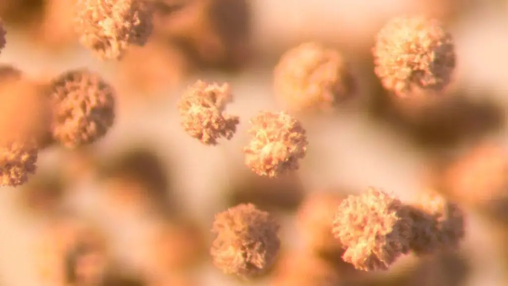 Mold Spores in the Air