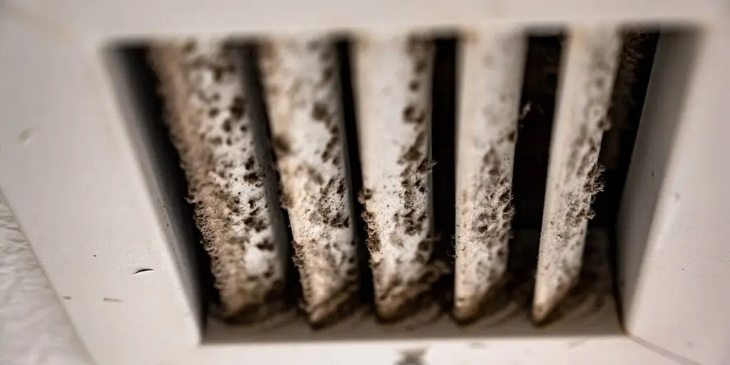 Mold in Air Ducts at Home