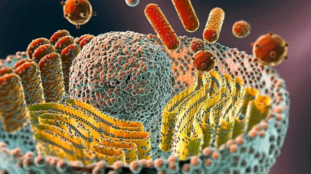 Mycotoxins