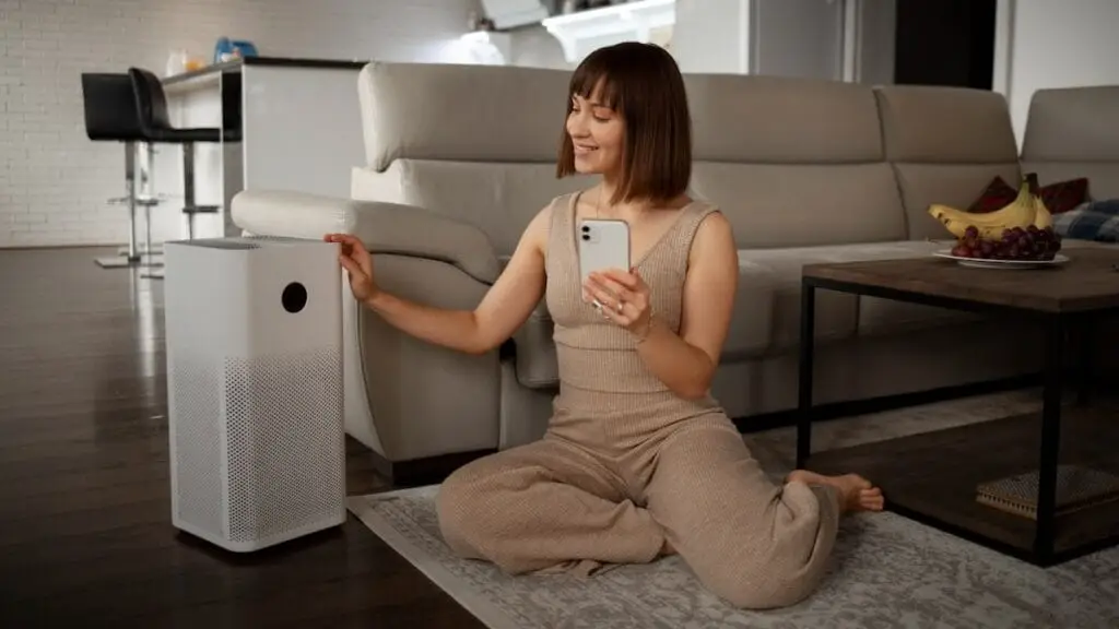 The Best Indoor Air Purifiers That Help Prevent Mold in South Florida Homes