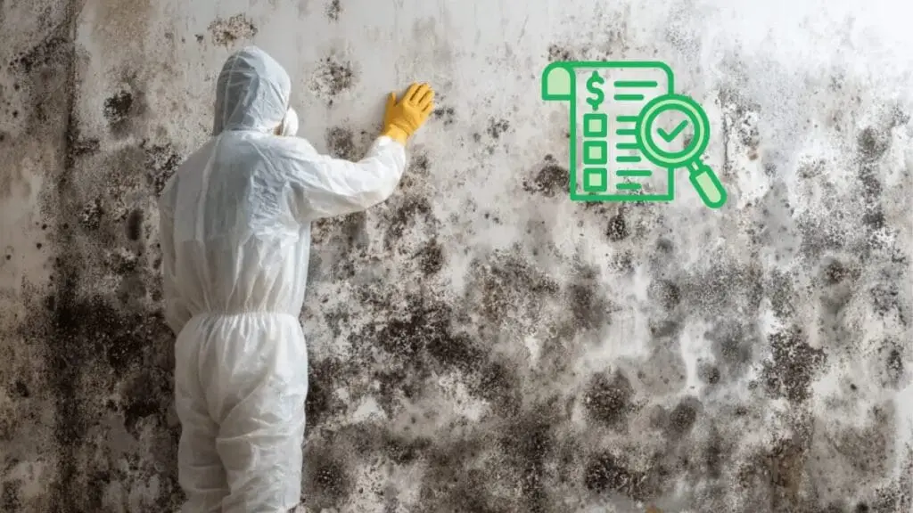 Mold Remediation Costs in Florida