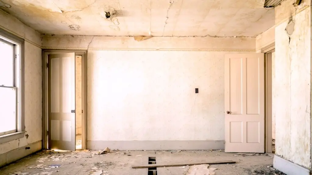 Mold-Resistant Materials for Home Renovations