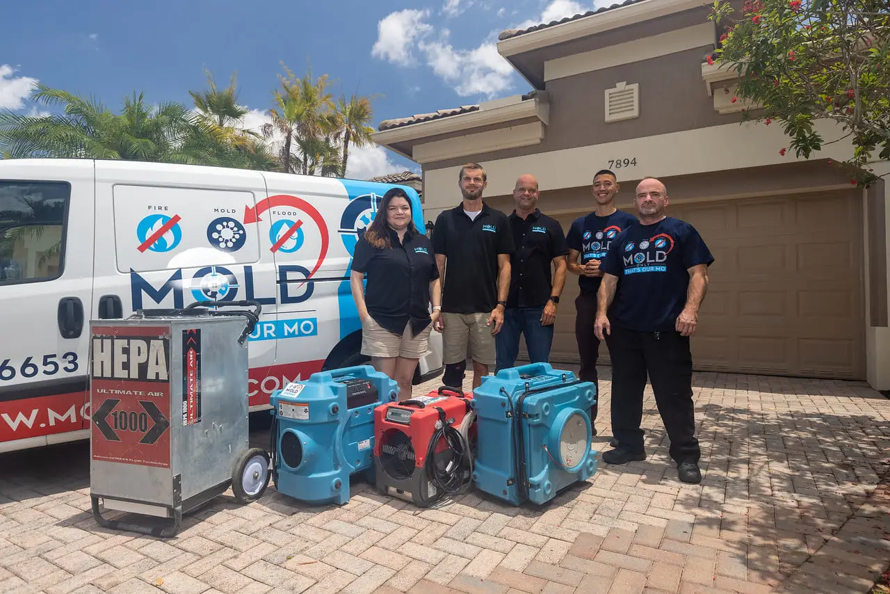Mold Only - South Florida Mold Removal and Remediation Services