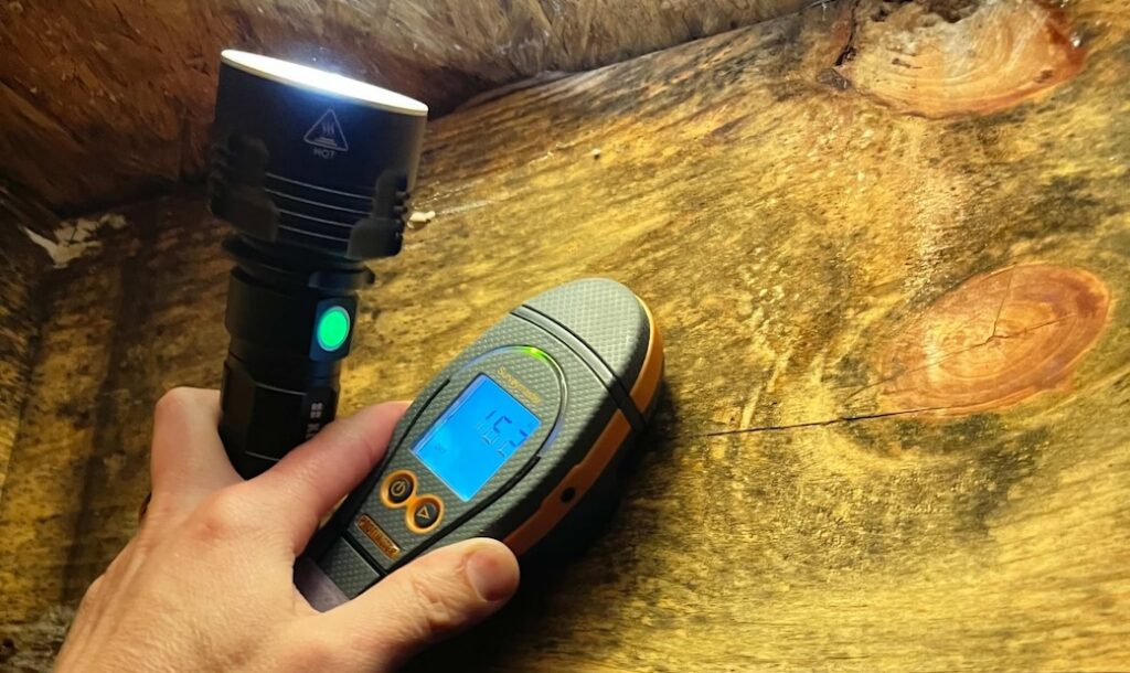 Post-Remediation Mold Testing