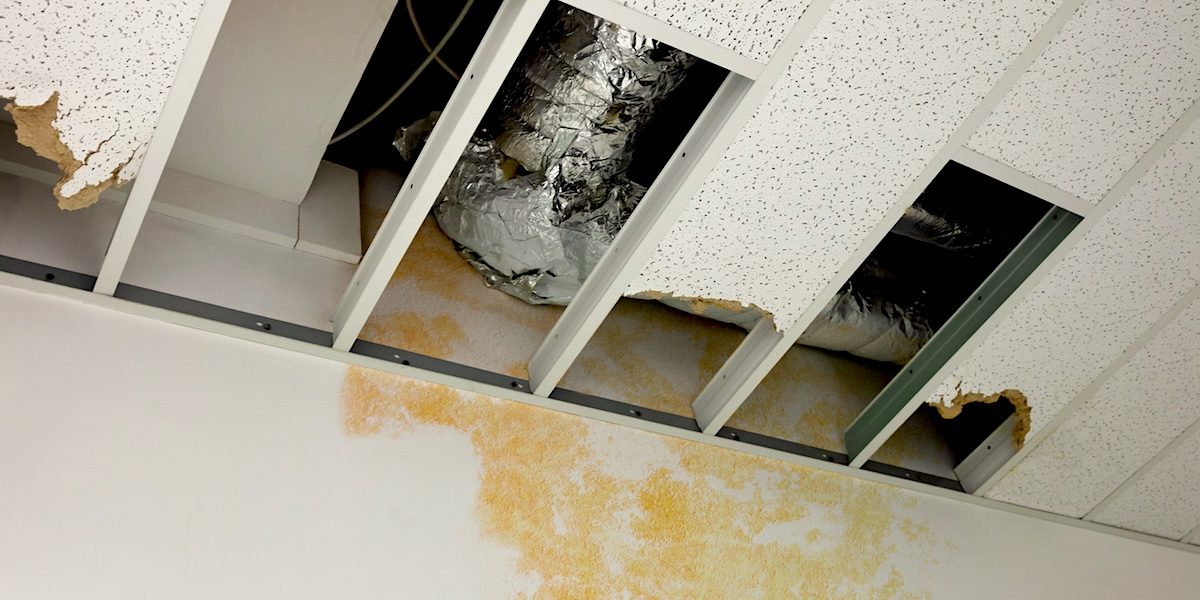 Commercial Mold Remediation in South Florida