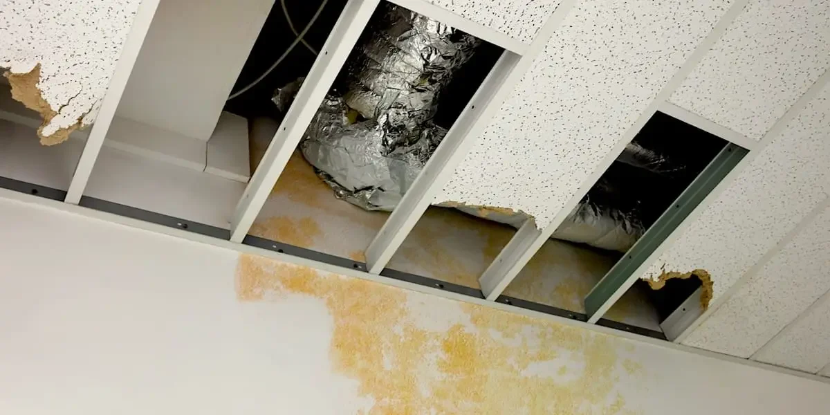 Commercial Mold Remediation in South Florida