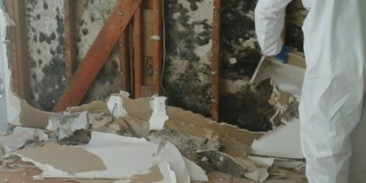 Mold remediation Royal Palm Beach FL
