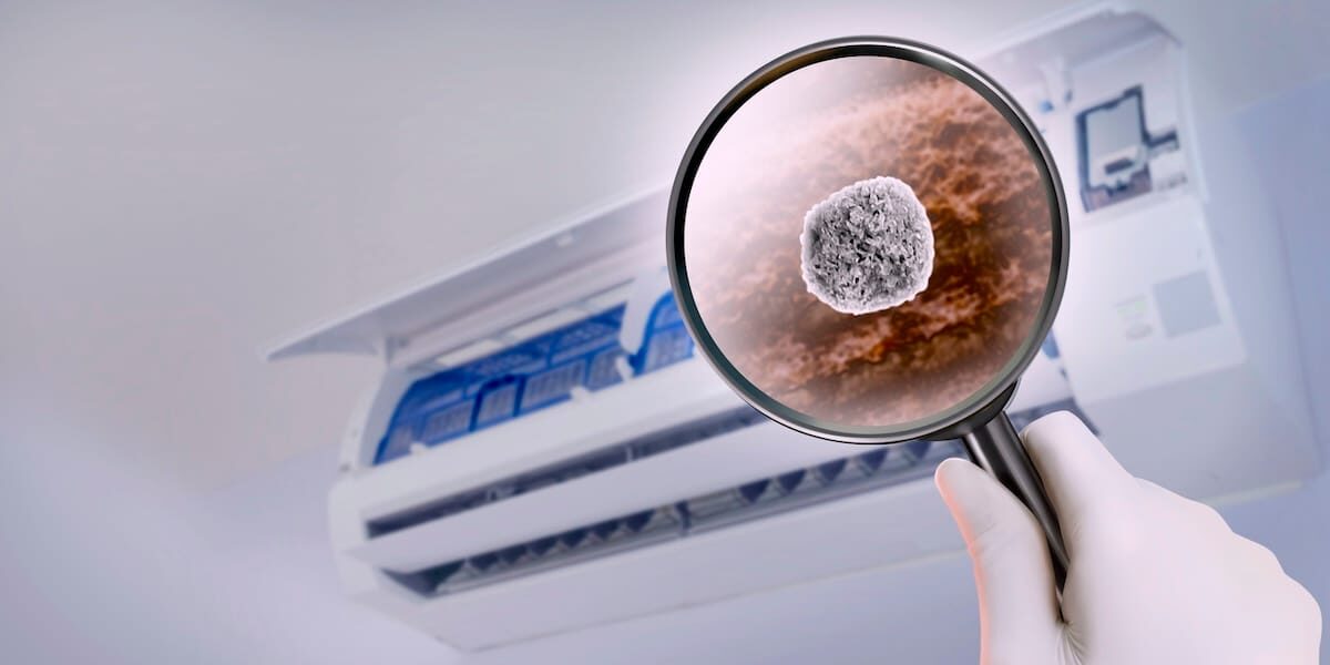 Mold Air Sampling Services in South Florida