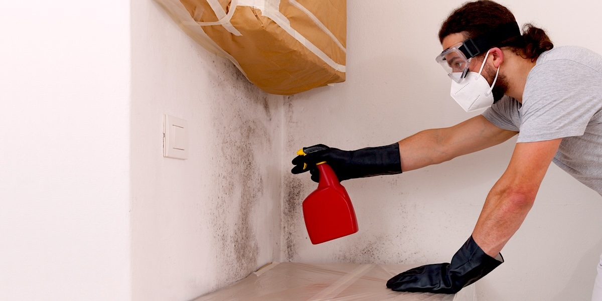 Mold Awareness Month: 10 Tips to Help Prevent Mold