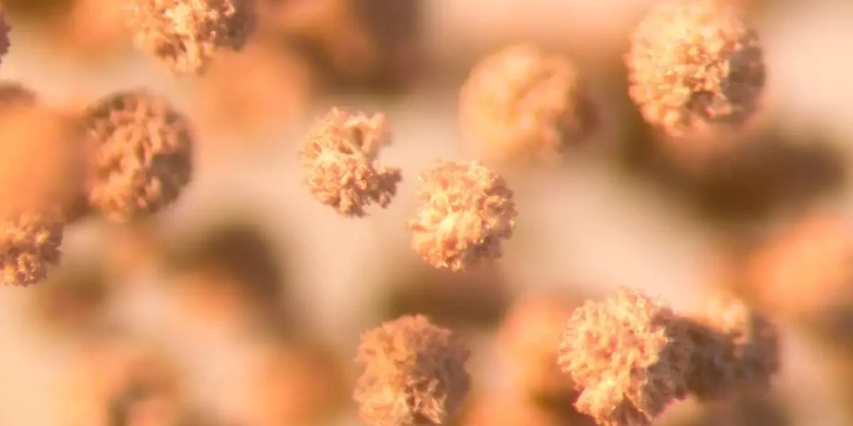 Mold Spores in the Air