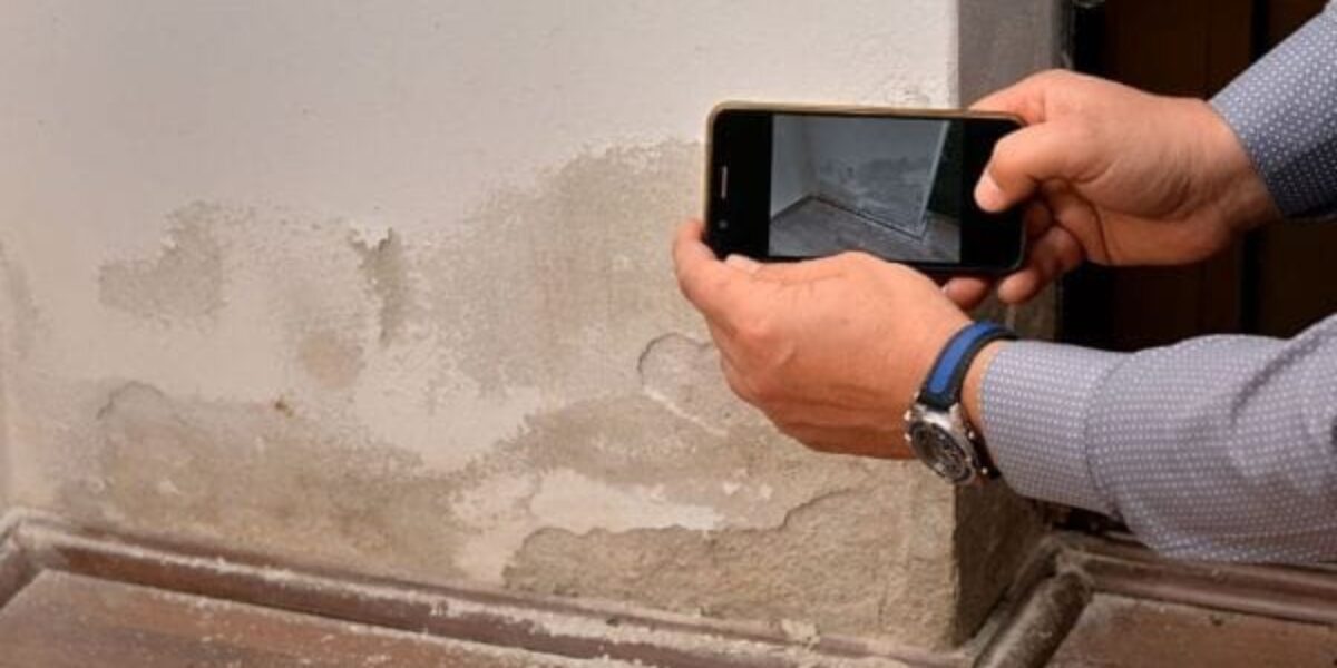 How to Prepare Your Home for Mold Remediation