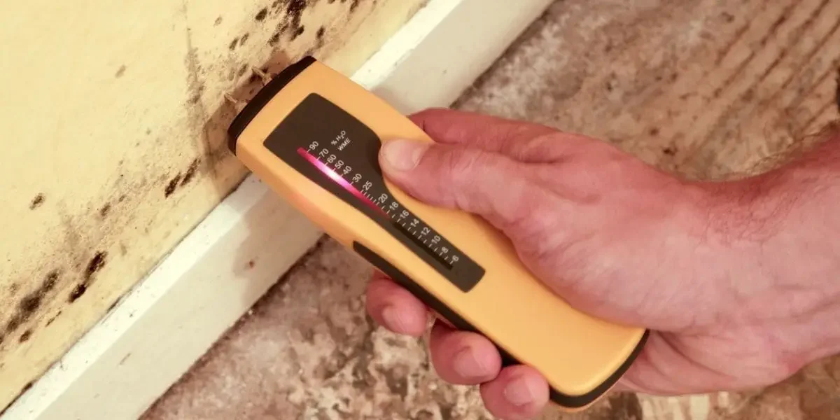 Check Mold