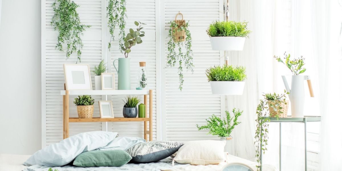 Improve Air Quality