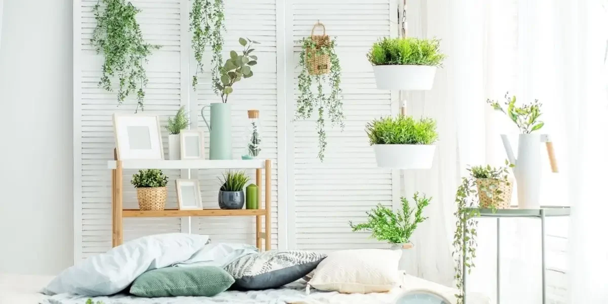 Improve Air Quality