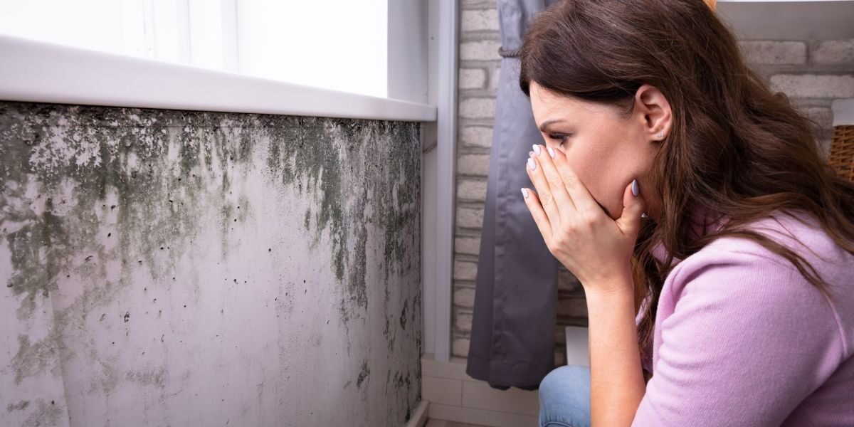 Household Mold Removal
