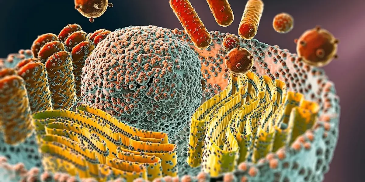 Mycotoxins