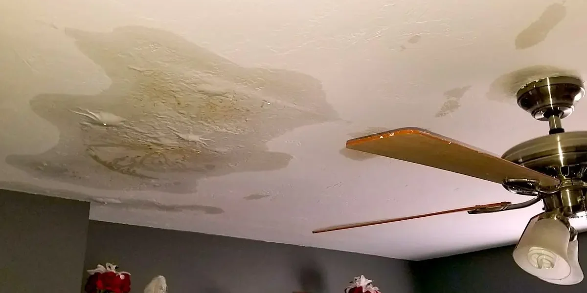 Roof Leaks, Water Damage, and Mold Growth
