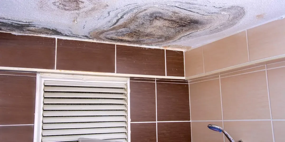 Mold on Bathroom Ceilings