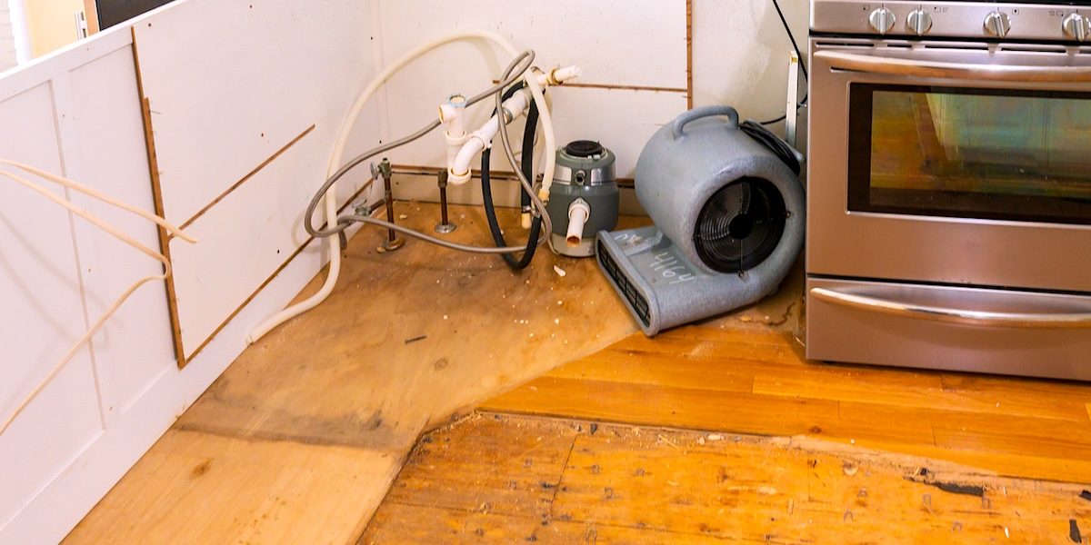 Water Damage and Mold Restoration in South Florida